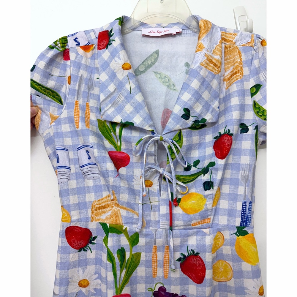 Lisa Says Gah Alexa Picnic Alfresco Mini Shirt Dress Blue Gingham Food L - Picture 5 of 16